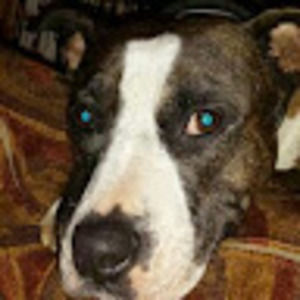 Meet your Posher, Nathan